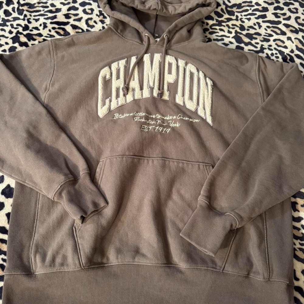 Champion Brown Hoodie Sweatshirt Classic Pullover